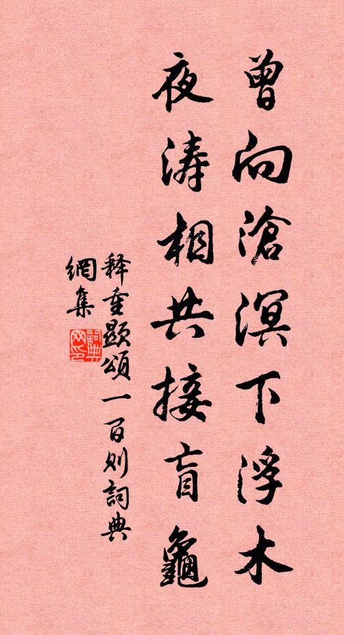 释重顯曾向沧溟下浮木，夜涛相共接盲龟书法作品欣赏