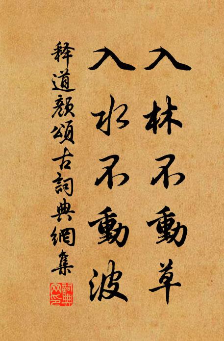 释道颜入林不动草，入水不动波书法作品欣赏