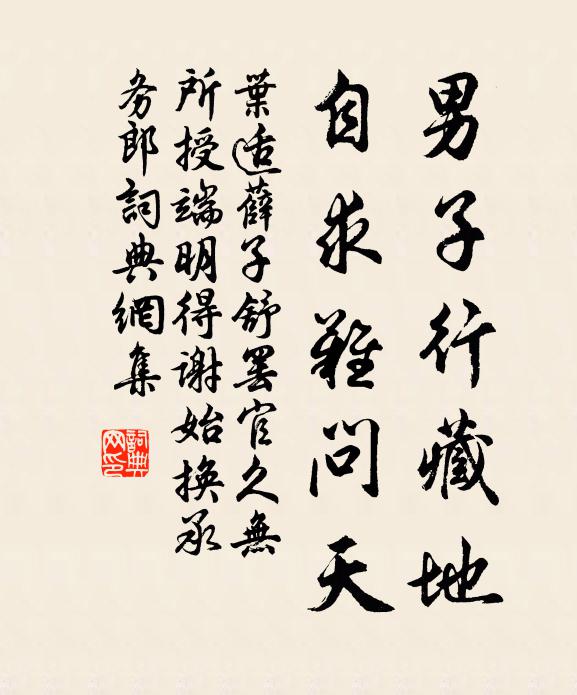 叶适男子行藏地，自求难问天书法作品欣赏