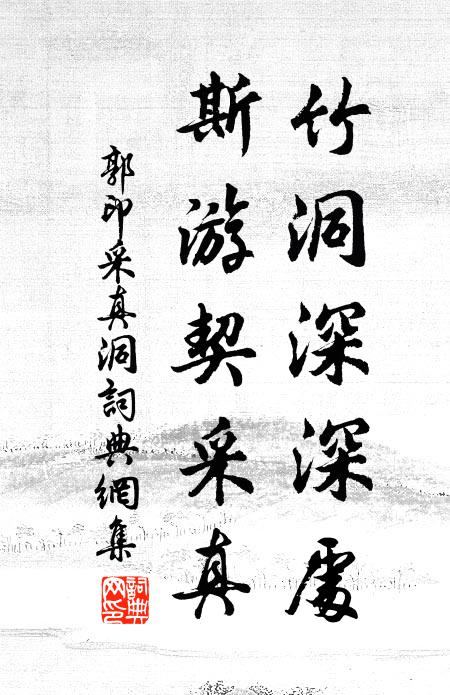 郭印竹洞深深处，斯游契采真书法作品欣赏