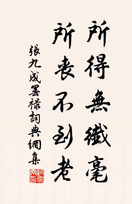 张九成所得无纤毫，所丧不到老书法作品欣赏