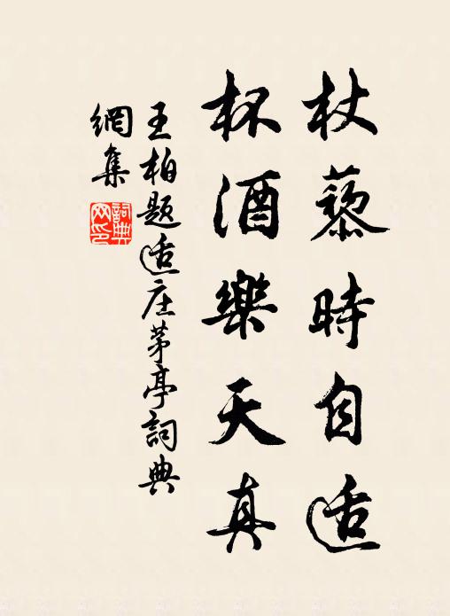 王柏杖藜时自适，杯酒乐天真书法作品欣赏