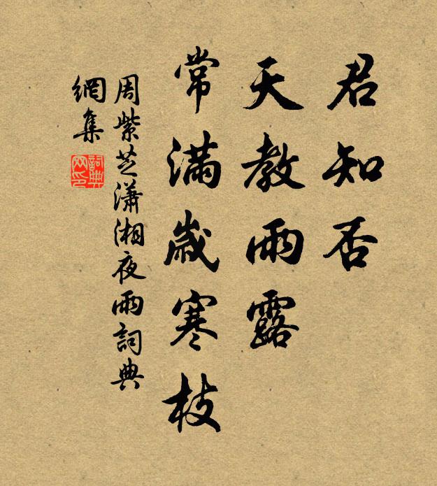 周紫芝君知否，天教雨露，常满岁寒枝书法作品欣赏