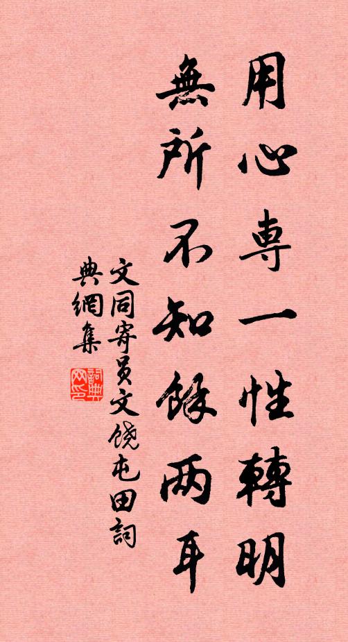 文同用心专一性转明，无所不知余两耳书法作品欣赏