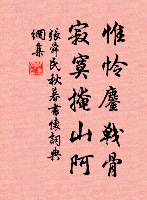 张舜民惟怜鏖战骨，寂寞掩山阿书法作品欣赏