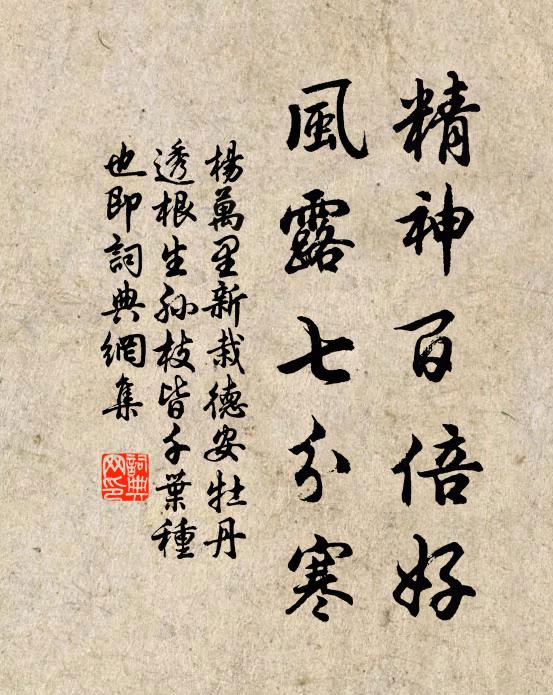 杨万里精神百倍好，风露七分寒书法作品欣赏