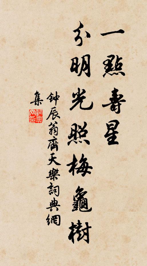 钟辰翁一点寿星，分明光照梅龟树书法作品欣赏