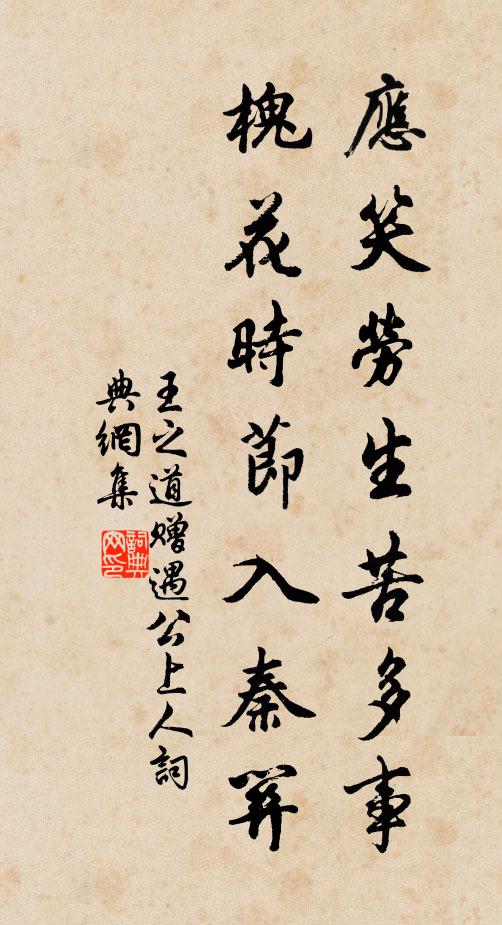 王之道应笑劳生苦多事，槐花时节入秦关书法作品欣赏