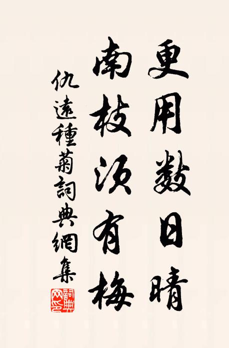 仇远更用数日晴，南枝须有梅书法作品欣赏