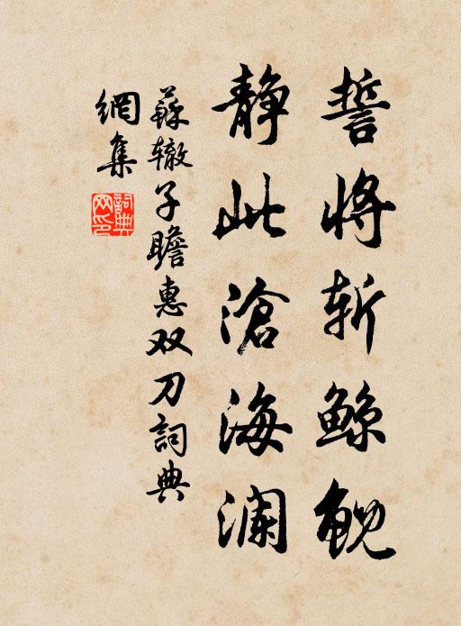 苏辙誓将斩鲸鲵，静此沧海澜书法作品欣赏