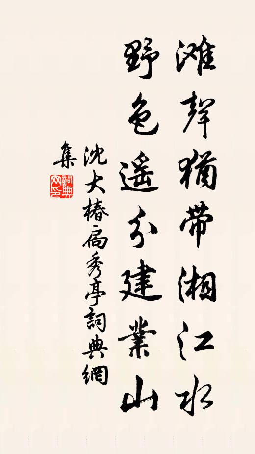 沈大椿滩声犹带湘江水，野色遥分建业山书法作品欣赏