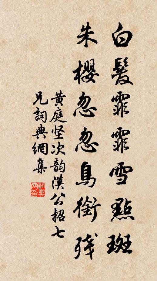 黄庭坚白发霏霏雪点斑，朱樱忽忽鸟衔残书法作品欣赏