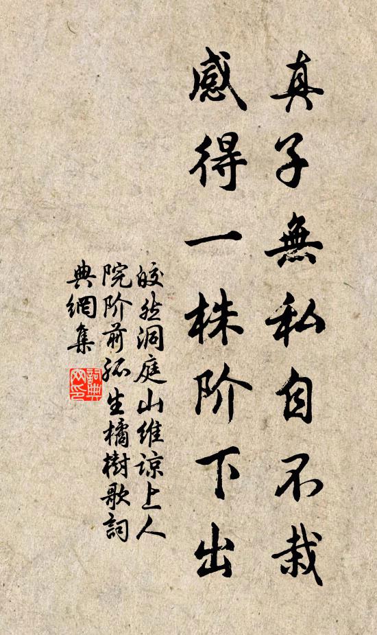 皎然真子无私自不栽，感得一株阶下出书法作品欣赏