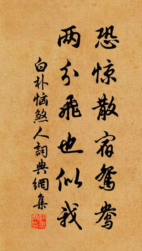 白朴恐惊散宿鸳鸯，两分飞也似我书法作品欣赏