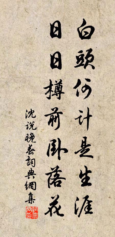 沈说白头何计是生涯，日日樽前卧落花书法作品欣赏