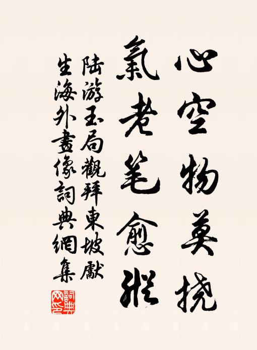 陆游心空物莫挠，气老笔愈纵书法作品欣赏
