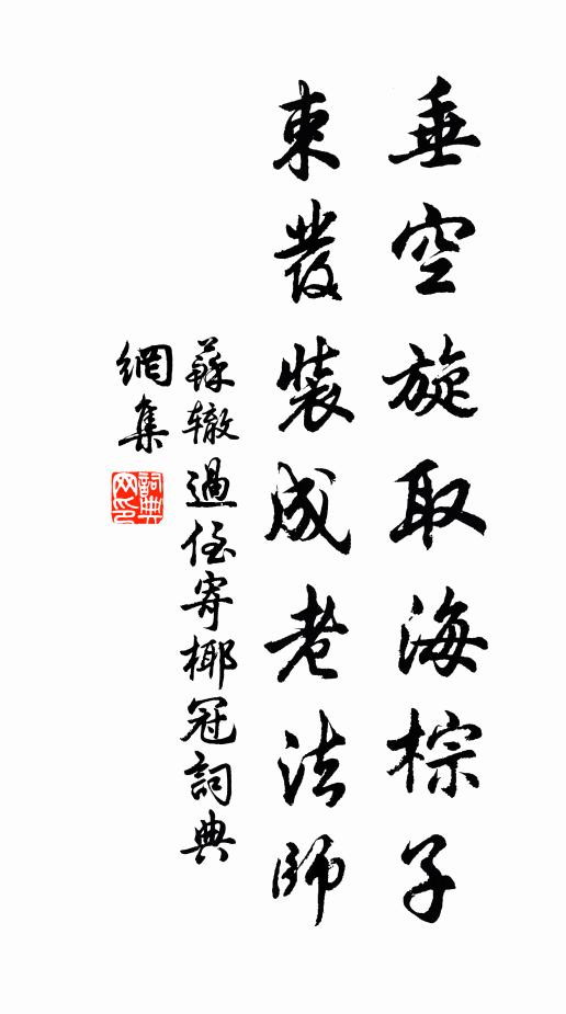 苏辙垂空旋取海棕子，束发装成老法师书法作品欣赏