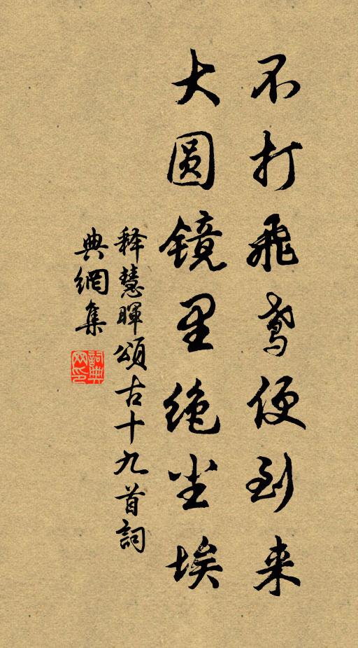 释慧晖不打飞鸢便到来，大圆镜里绝尘埃书法作品欣赏