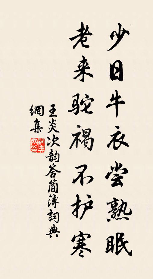 王炎少日牛衣尝熟眠，老来驼褐不护寒书法作品欣赏
