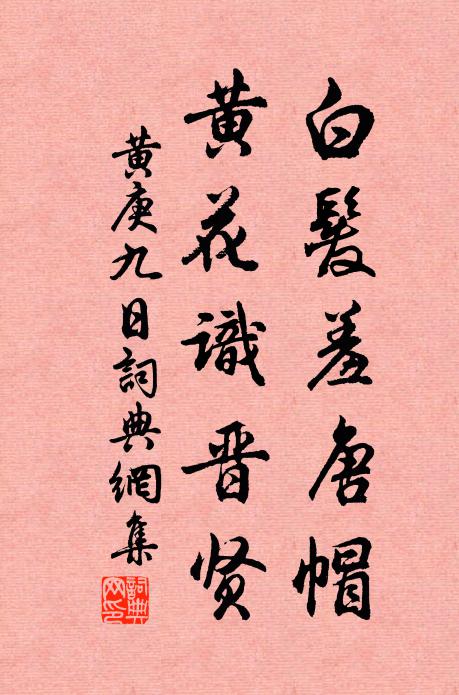 黄庚白发羞唐帽，黄花识晋贤书法作品欣赏