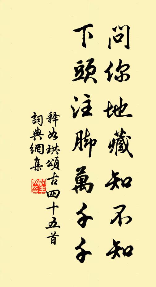 释如珙问你地藏知不知，下头注脚万千千书法作品欣赏
