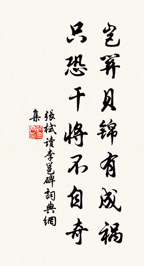 张栻岂关贝锦有成祸，只恐干将不自奇书法作品欣赏