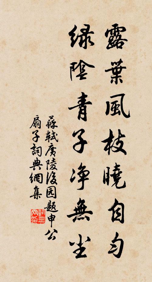 苏轼露叶风枝晓自匀，绿阴青子净无尘书法作品欣赏