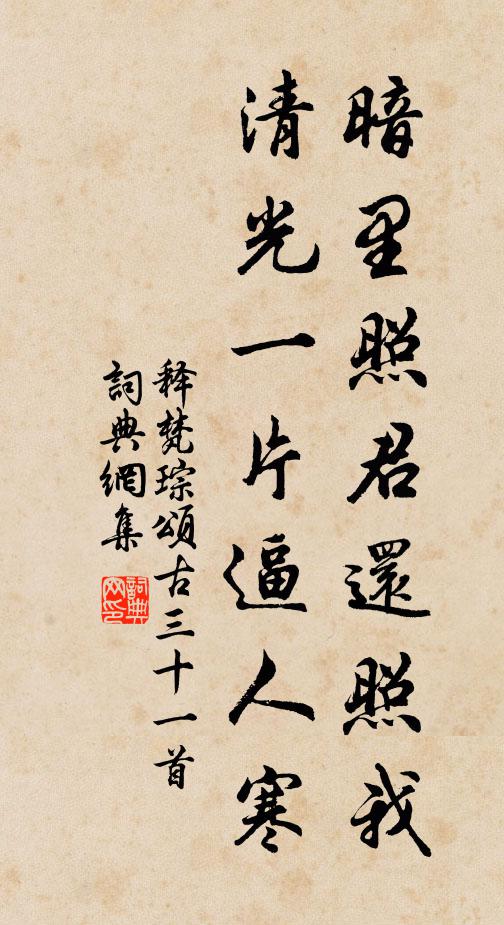 释梵琮暗里照君还照我，清光一片逼人寒书法作品欣赏