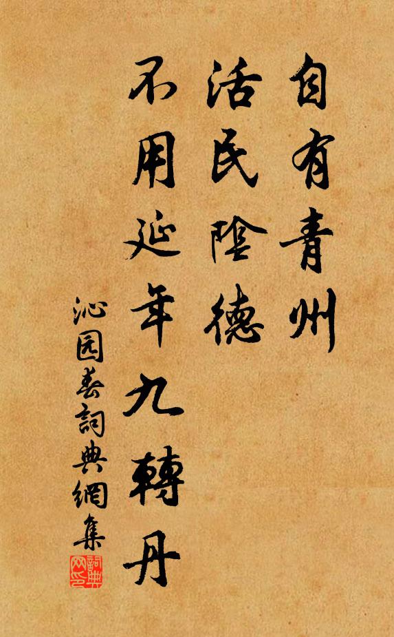 佚名自有青州，活民阴德，不用延年九转丹书法作品欣赏