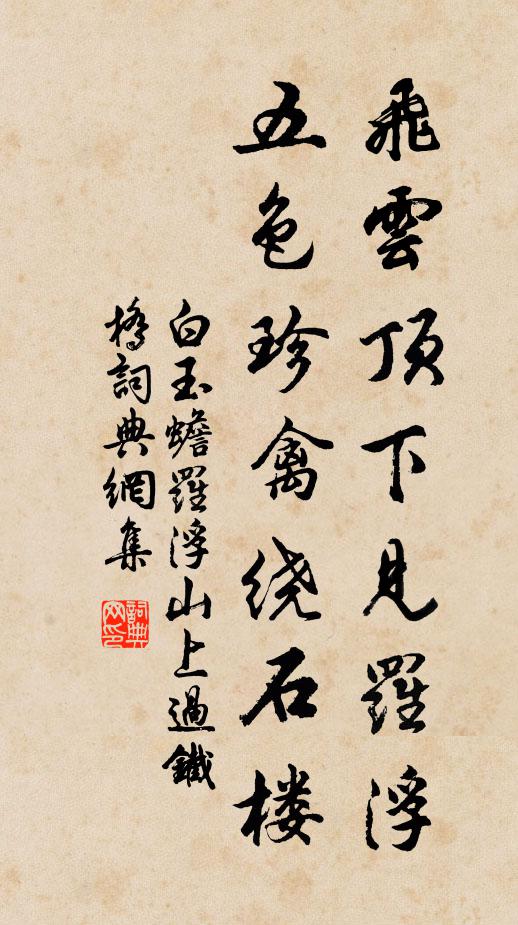 白玉蟾飞云顶下见罗浮，五色珍禽绕石楼书法作品欣赏