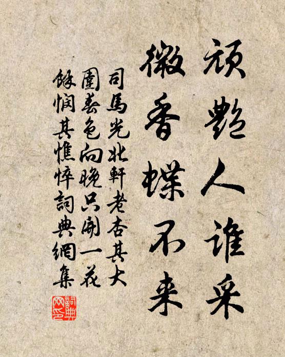 司马光顽艳人谁采，微香蝶不来书法作品欣赏