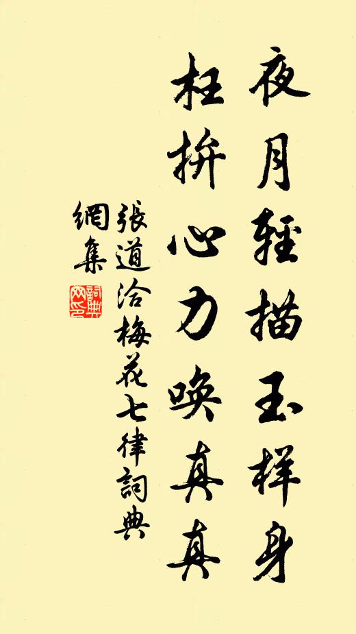 张道洽夜月轻描玉样身，枉拚心力唤真真书法作品欣赏