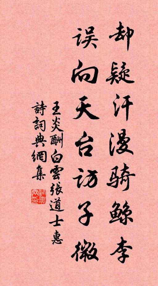 王炎却疑汗漫骑鲸李，误向天台访子微书法作品欣赏