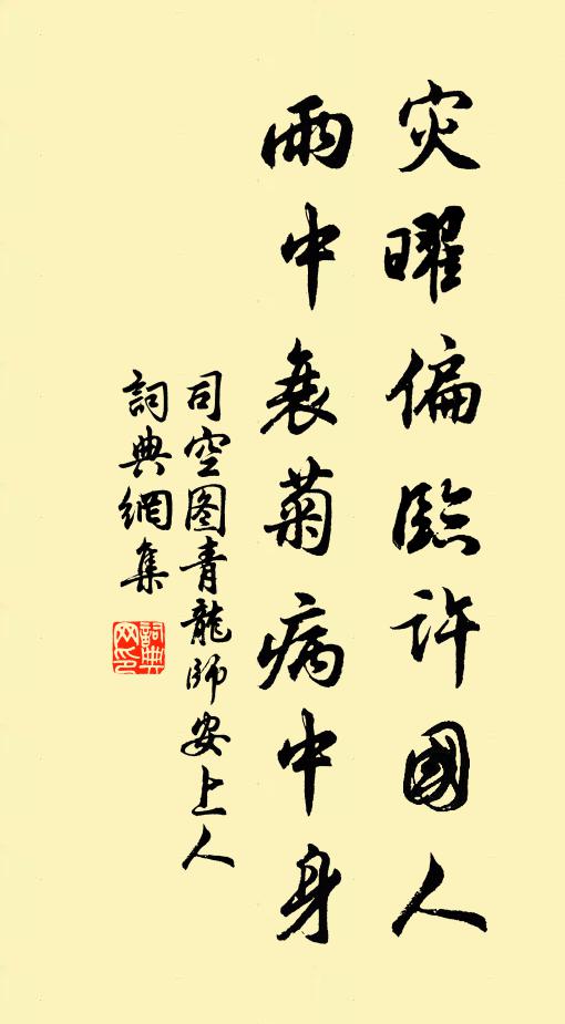 司空图灾曜偏临许国人，雨中衰菊病中身书法作品欣赏