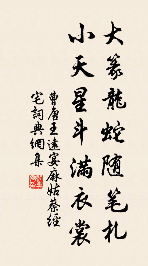 曹唐大篆龙蛇随笔札，小天星斗满衣裳书法作品欣赏