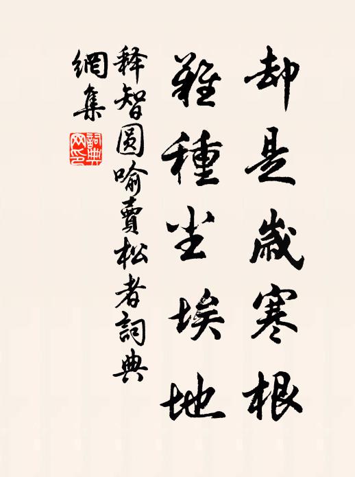 释智圆却是岁寒根，难种尘埃地书法作品欣赏