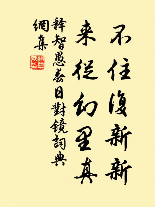 释智愚不住复新新，来从幻里真书法作品欣赏
