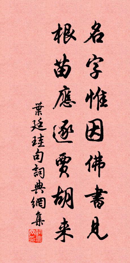叶廷珪名字惟因佛书见，根苗应逐贾胡来。书法作品欣赏