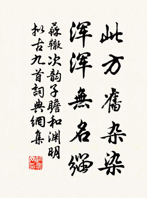 苏辙此方旧杂染，浑浑无名缁书法作品欣赏