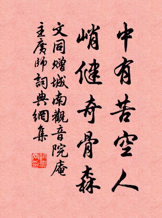 文同中有苦空人，峭健奇骨森书法作品欣赏