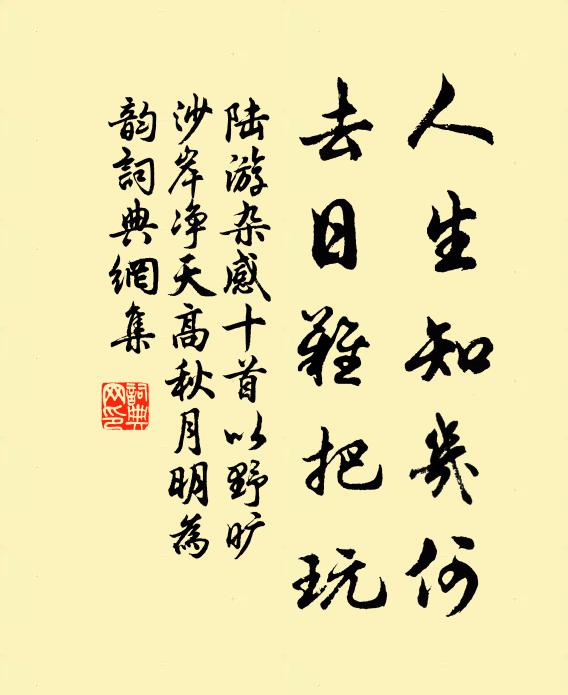陆游人生知几何，去日难把玩书法作品欣赏