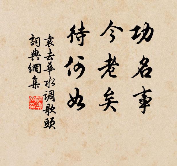 袁去华功名事，今老矣，待何如书法作品欣赏