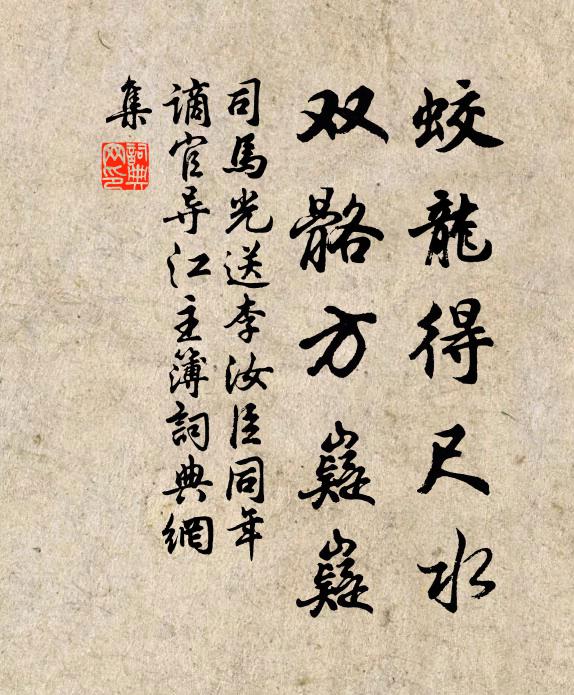 司马光蛟龙得尺水，双骼方嶷嶷书法作品欣赏