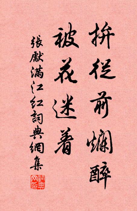 张先拚从前烂醉，被花迷着书法作品欣赏