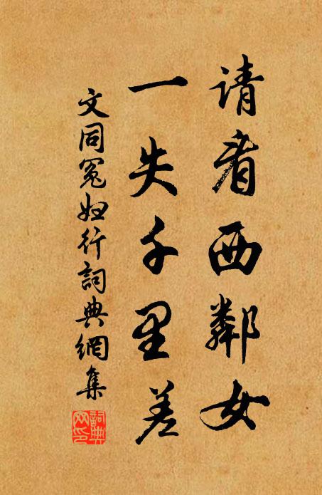 文同请看西邻女，一失千里差书法作品欣赏