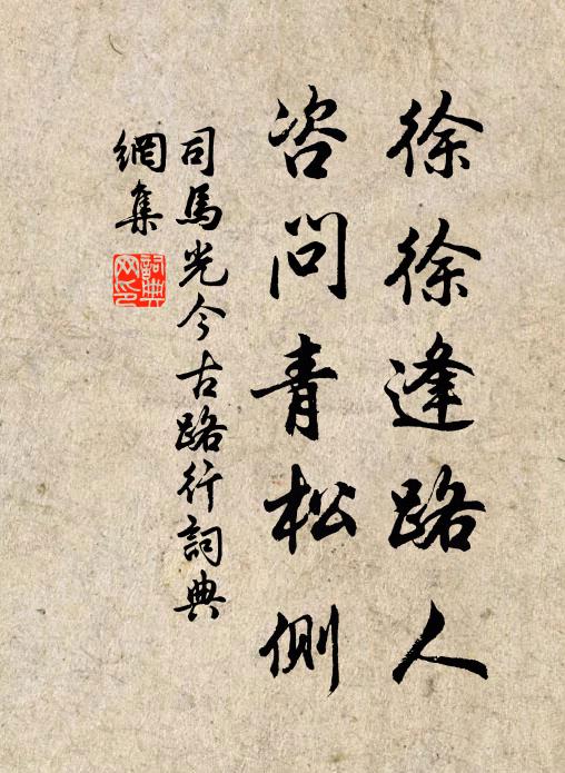 司马光徐徐逢路人，咨问青松侧书法作品欣赏