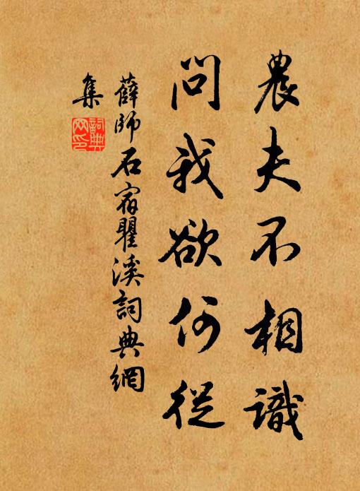 薛师石农夫不相识，问我欲何从书法作品欣赏