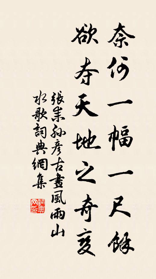 张耒奈何一幅一尺余，欲夺天地之奇变书法作品欣赏
