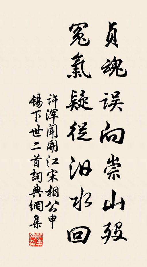 许浑贞魂误向崇山殁，冤气疑从汨水回书法作品欣赏