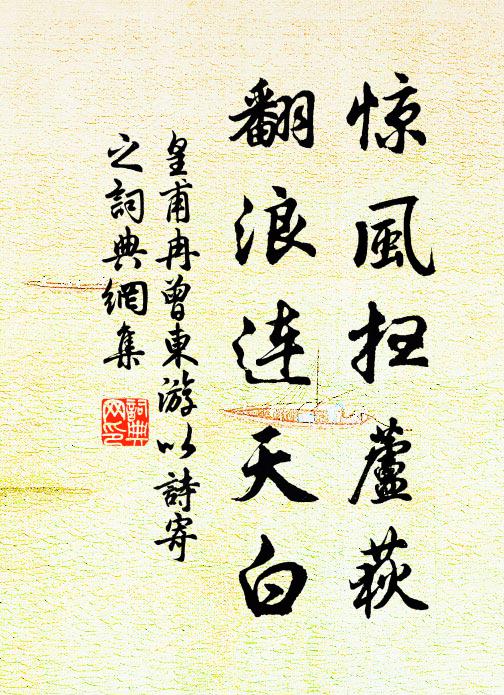 皇甫冉惊风扫芦荻,翻浪连天白书法作品欣赏